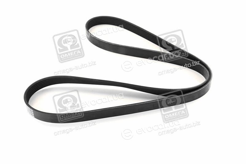 Dayco 6PK1453