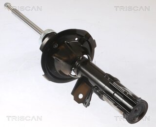 Triscan 8705 43110