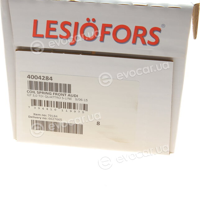 Lesjofors 4004284