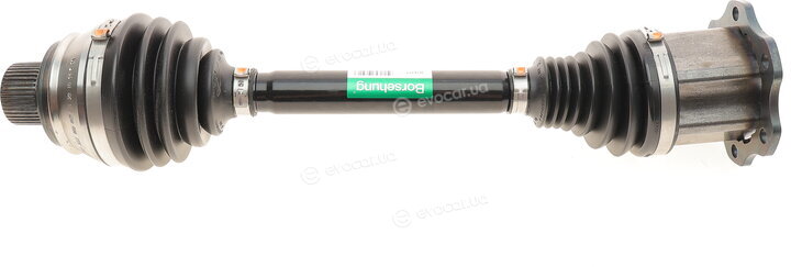 Borsehung B18377