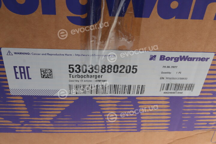 BorgWarner 53039880205