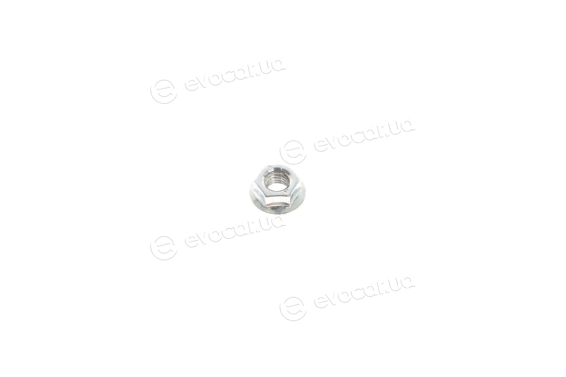 Solgy 116003