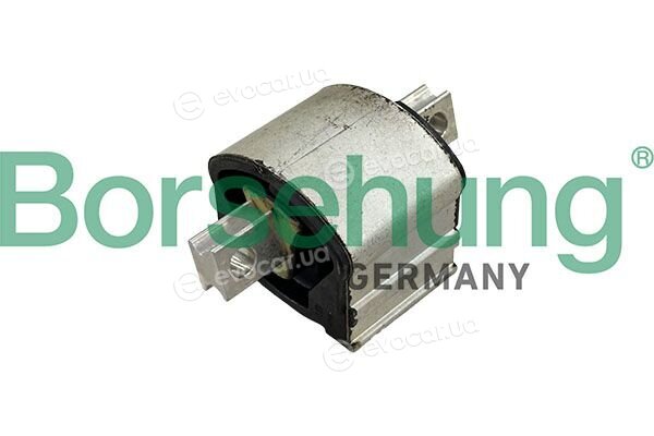 Borsehung B13075