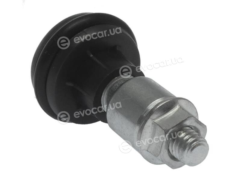 AIC 55888