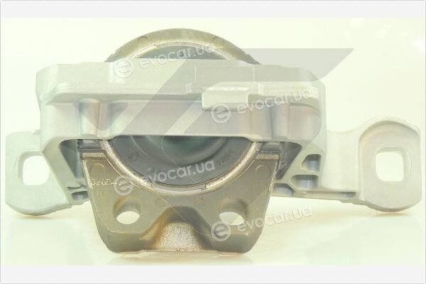 Hutchinson 586655