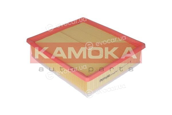 Kamoka F209701