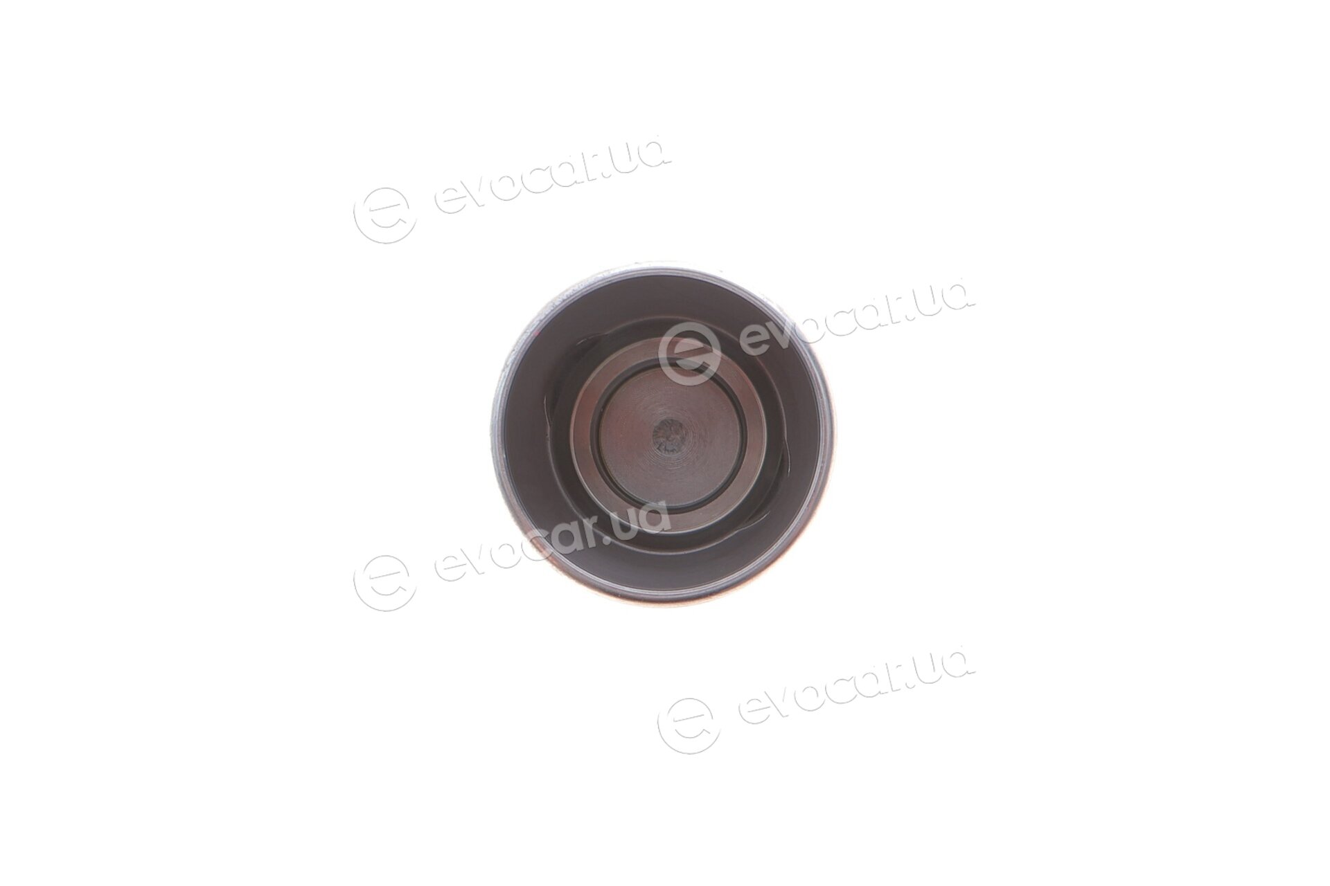 Frenkit P384702