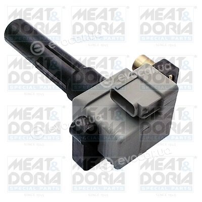 Meat & Doria 10678