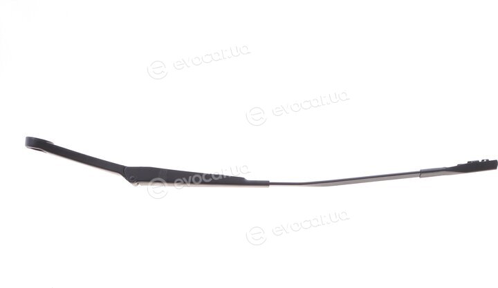 Solgy 307068