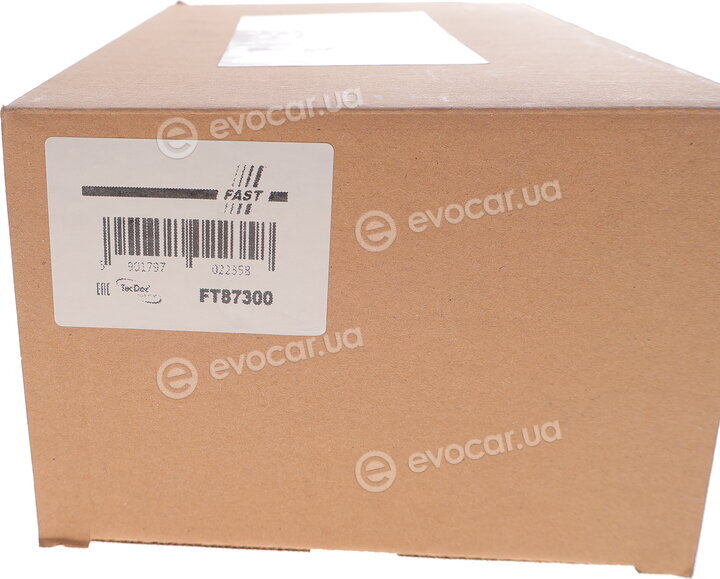 Fast FT87300