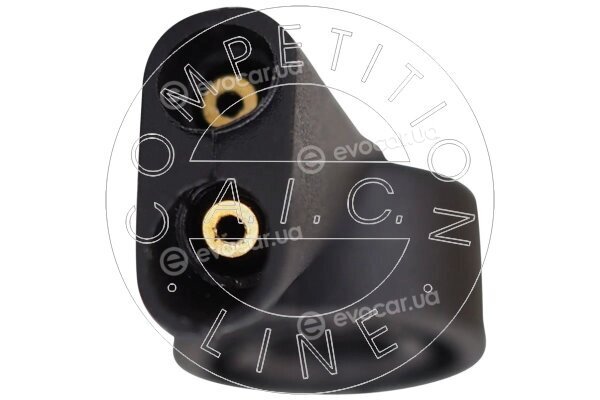 AIC 59097