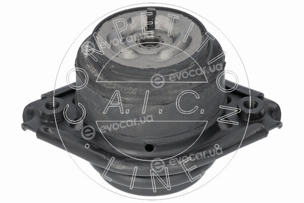 AIC 71563