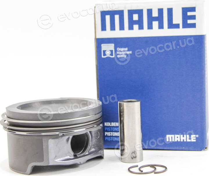 Mahle 030 60 13
