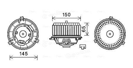 AVA OL8674