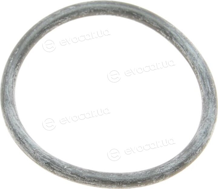 Elring 459.720