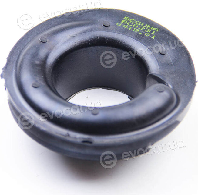 BC Guma 0231