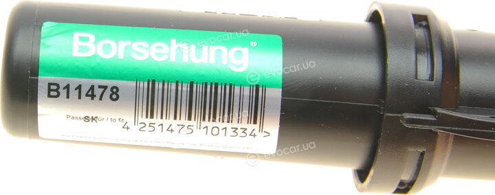 Borsehung B11478