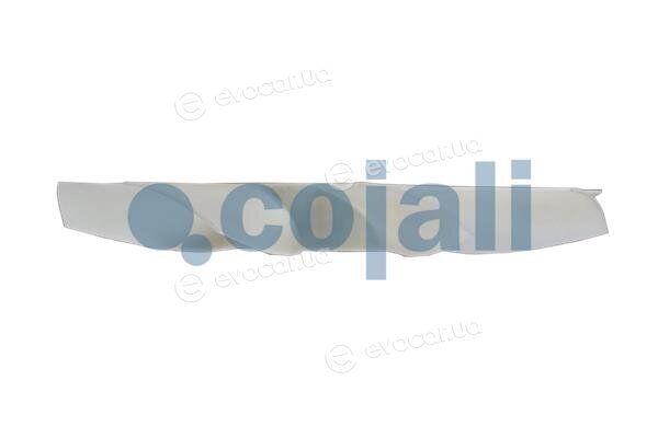 Cojali 7087119