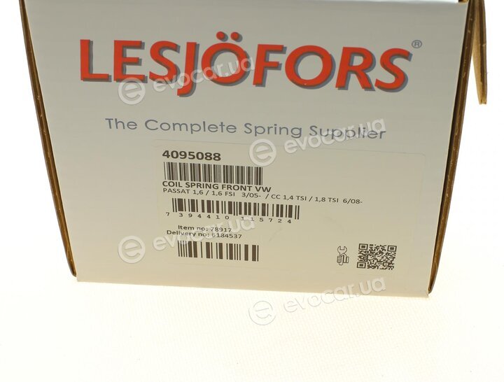 Lesjofors 4095088