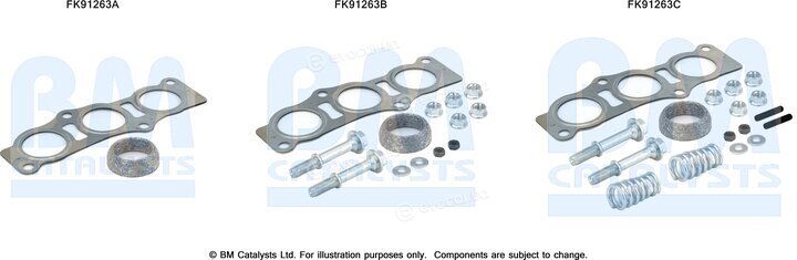 BM Catalysts FK91263