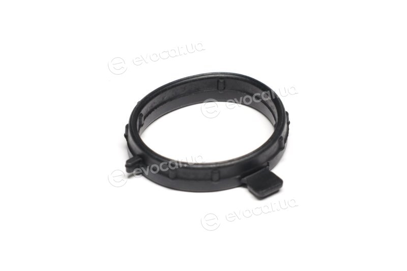 Elring 523.100
