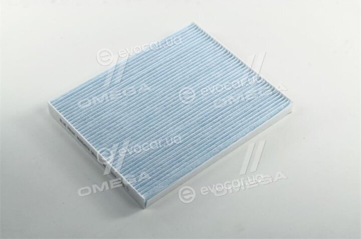 Blue Print ADG02574