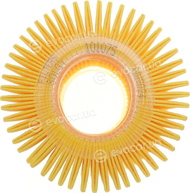 Solgy 101075