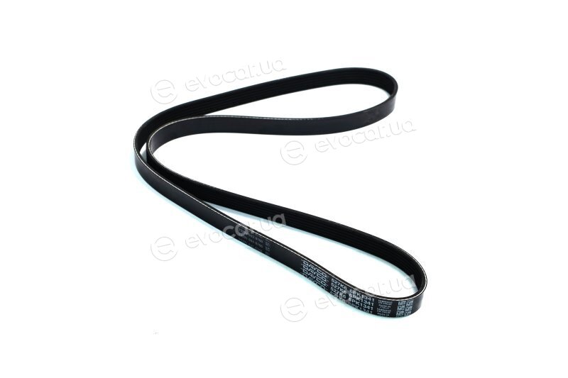 Dayco 6PK1341