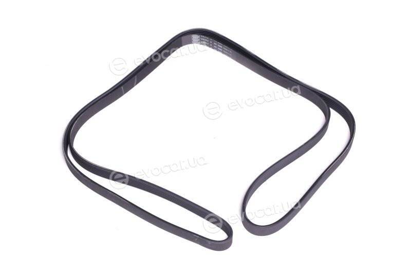 SKF VKMV 6PK2260