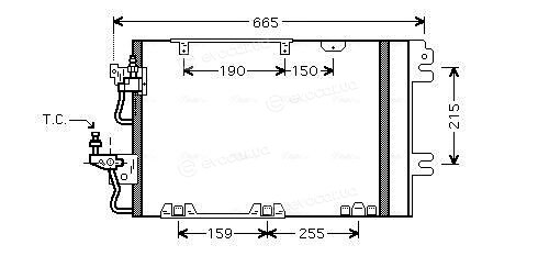 AVA OL5384D