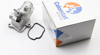 Vernet / Calorstat TH6884.87J