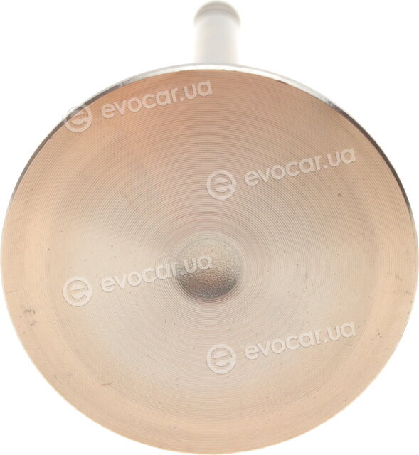 AMP PVWG137-S-0-N