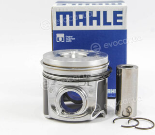 Mahle 009 89 01
