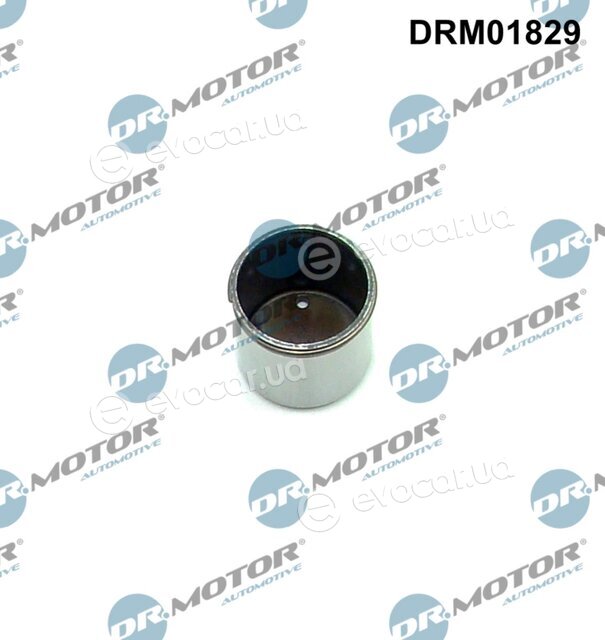 Dr. Motor DRM01829