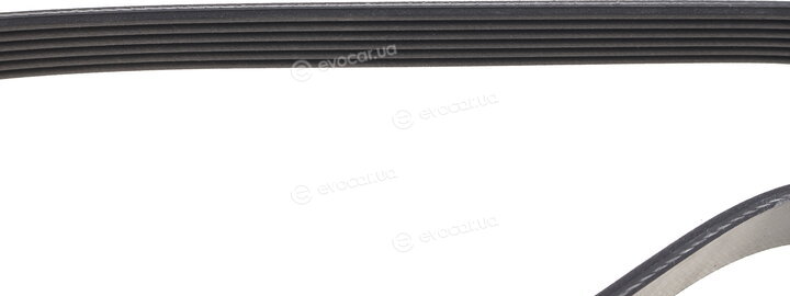Dayco 6PK2175