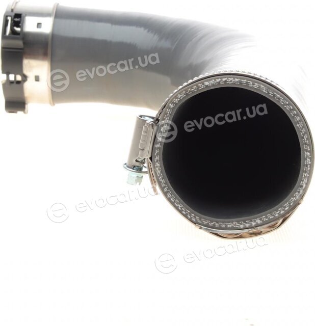 Solgy 114203