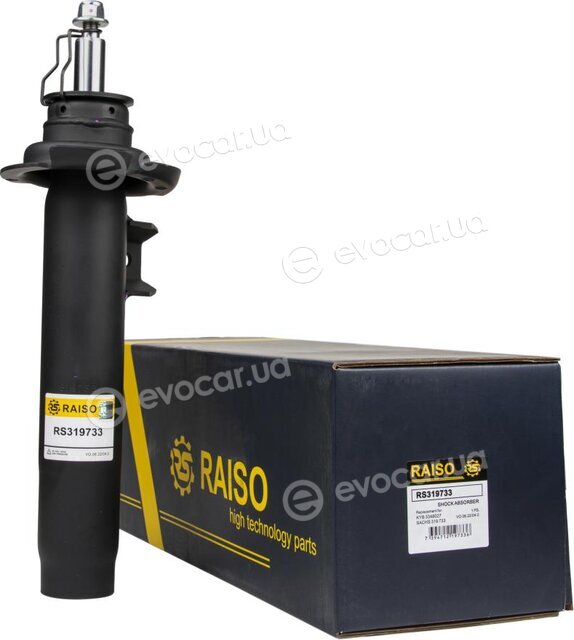 Raiso RS319733