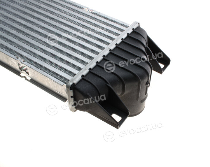 Van Wezel 43004359