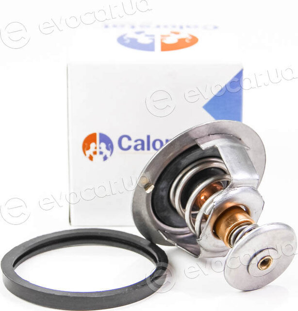 Vernet / Calorstat TH6295.88J