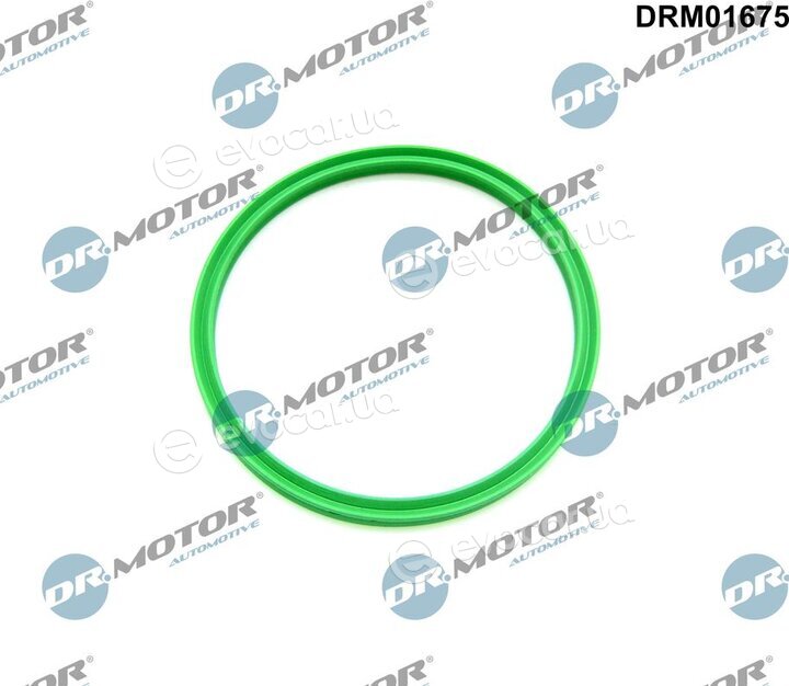 Dr. Motor DRM01675