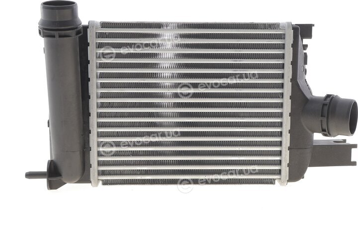 Mahle CI 497 000S