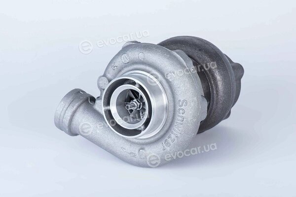 BorgWarner 319278