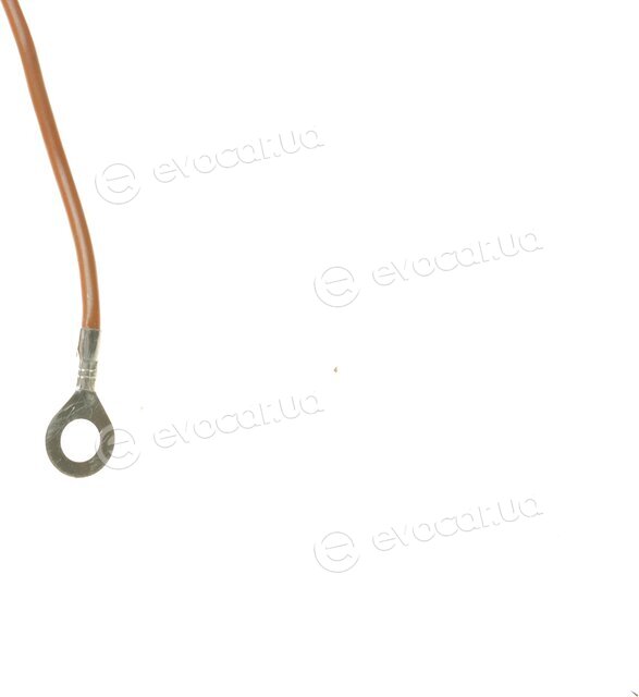 AIC 50616