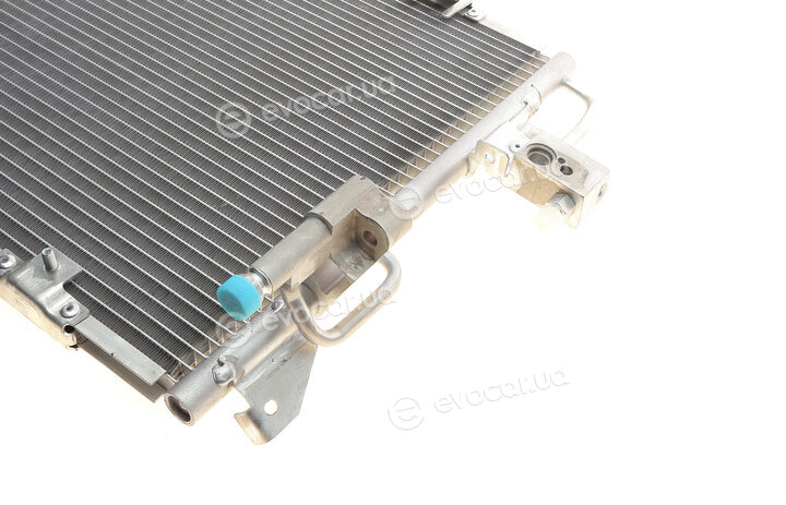 Van Wezel 37005326