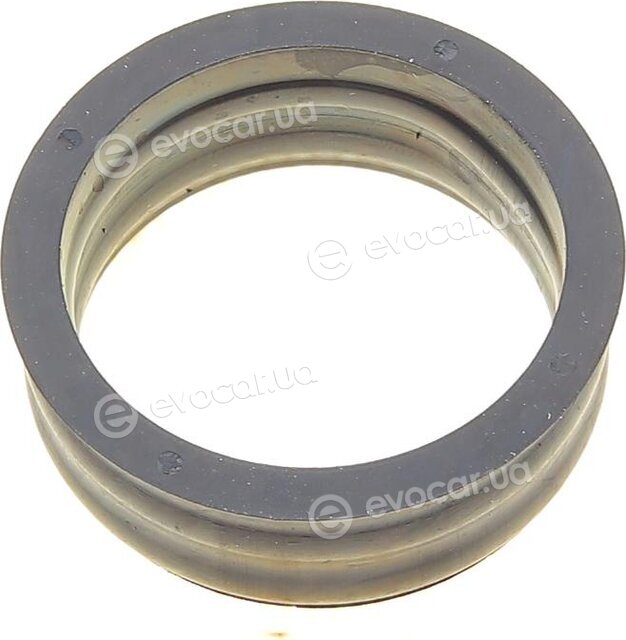 Elring 685.350