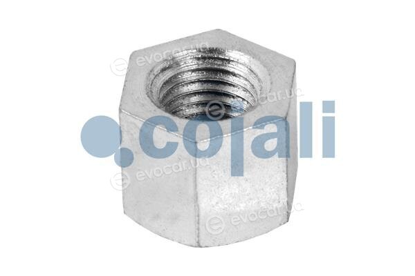 Cojali 7053802