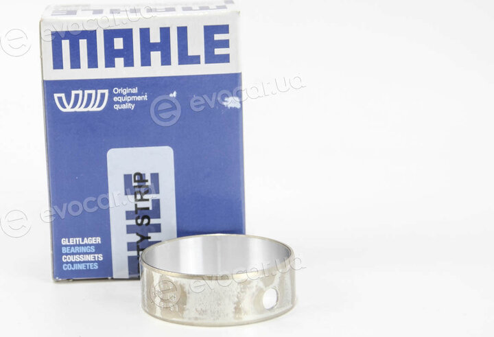 Mahle 029 LB 18192 000
