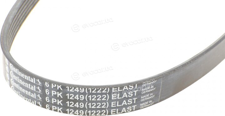 Continental 6PK1249 ELAST