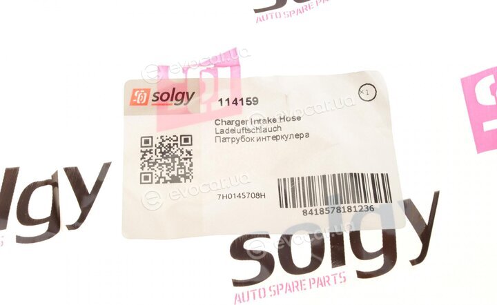 Solgy 114159