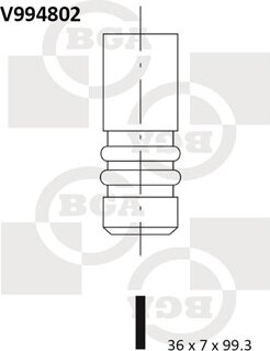 BGA V994802